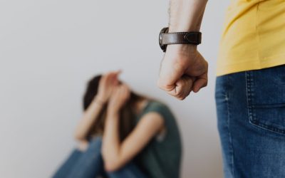 New York Domestic Violence Survivors Justice Act